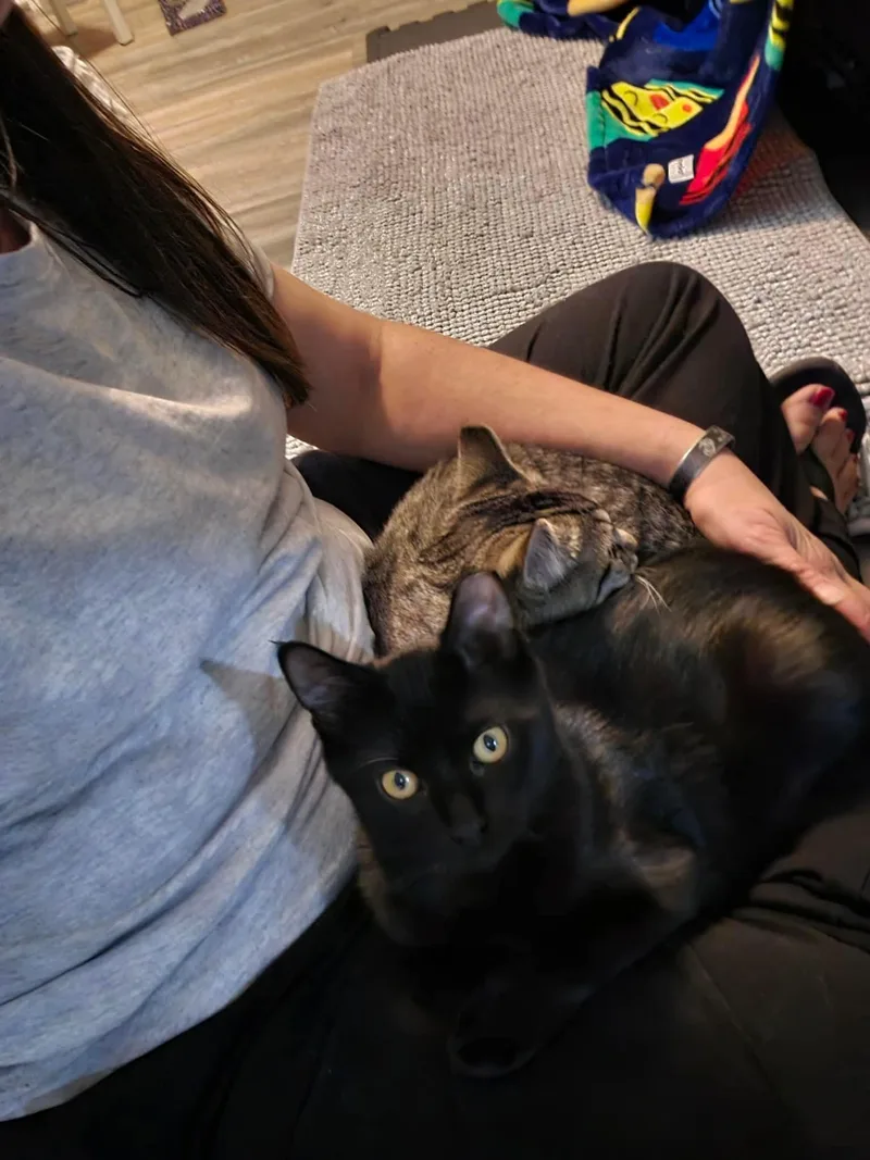 Bitzy and Babs thumbnail 3