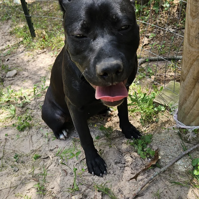 Preston  Vt thumbnail 3