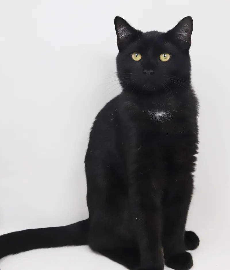 Kiwi can't be any thumbnail 2
