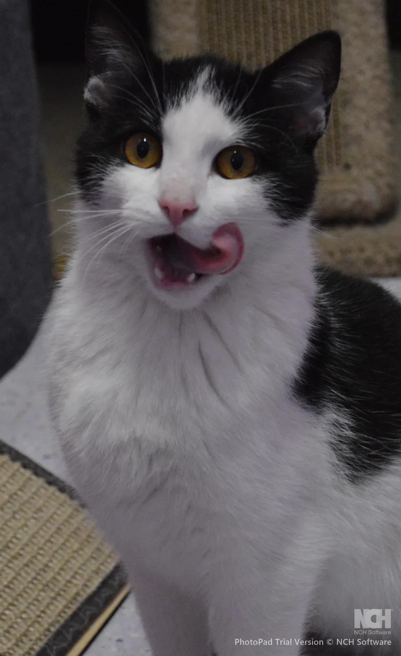 Taneycomo thumbnail 2