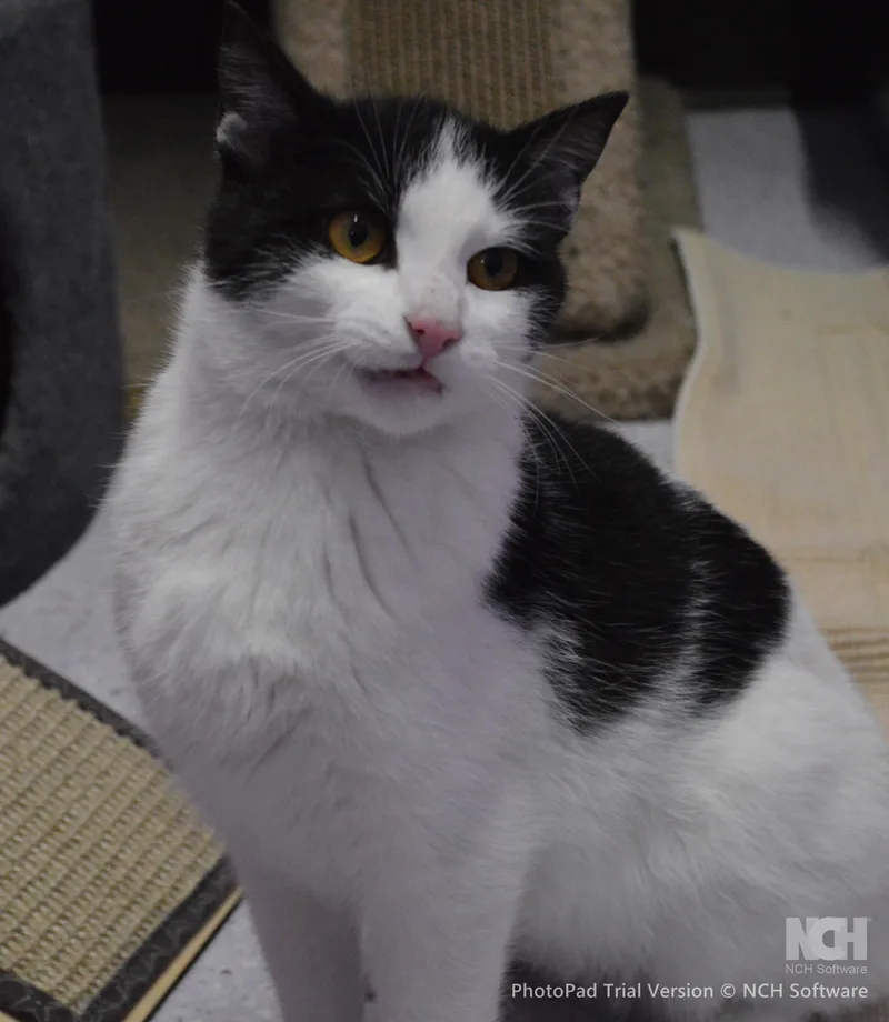 Taneycomo thumbnail 3