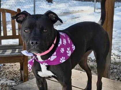 Lady Fka Mika thumbnail 2