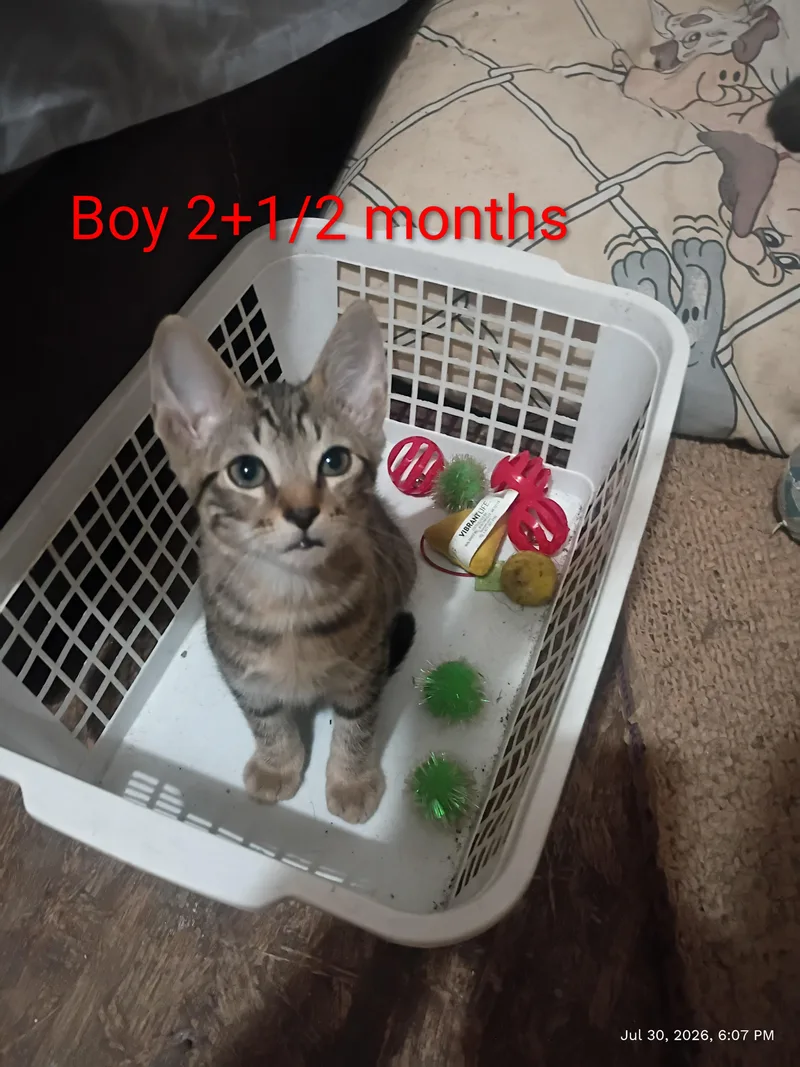 Oliver