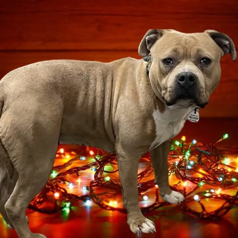 Josephine "josie" Yam Candy thumbnail 4