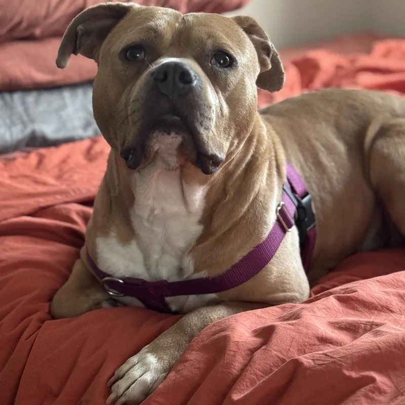 Josephine "josie" Yam Candy thumbnail 6