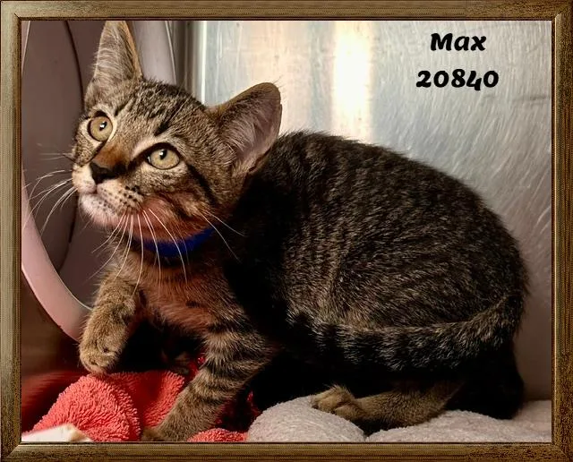 Max thumbnail 3