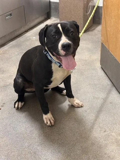 Luna