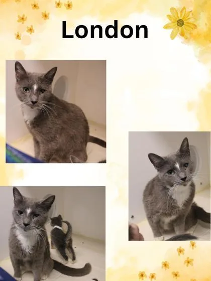 London