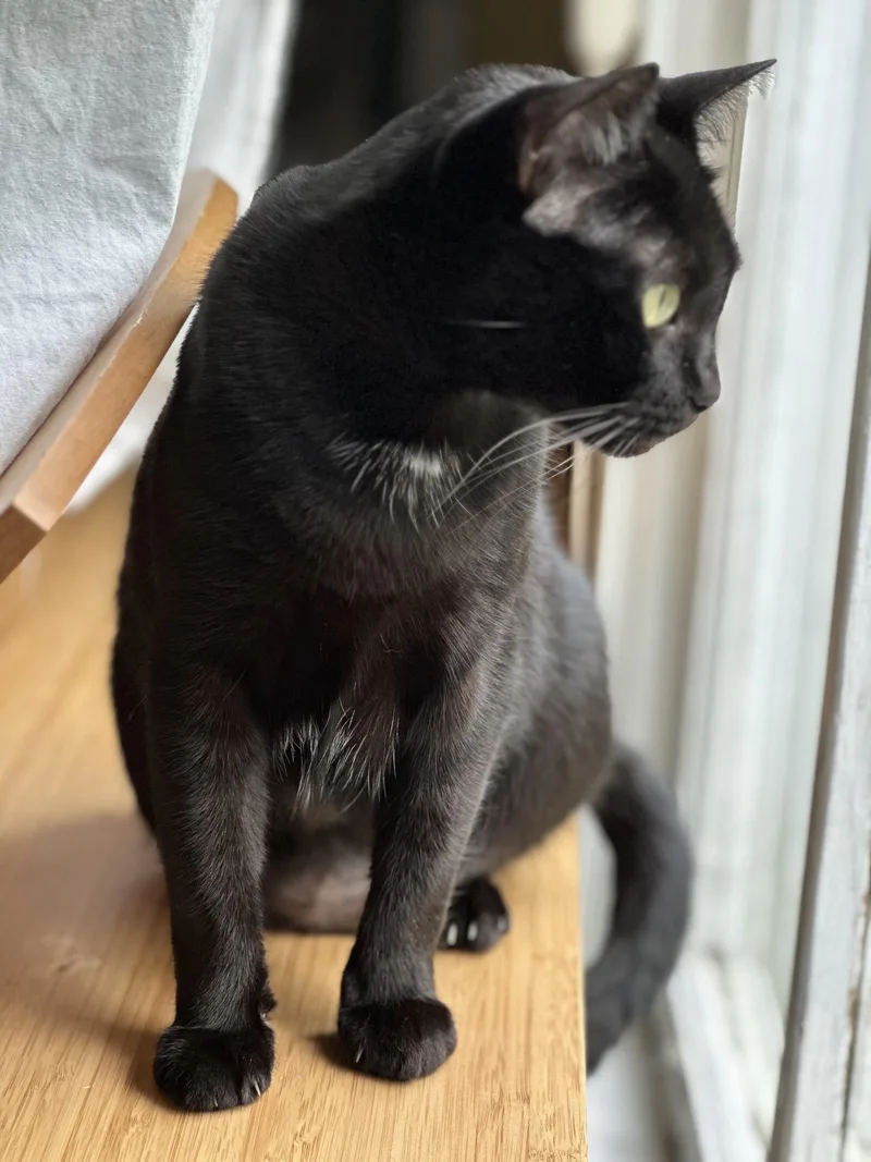 Lil’ Bitsweet Girl !! thumbnail 2