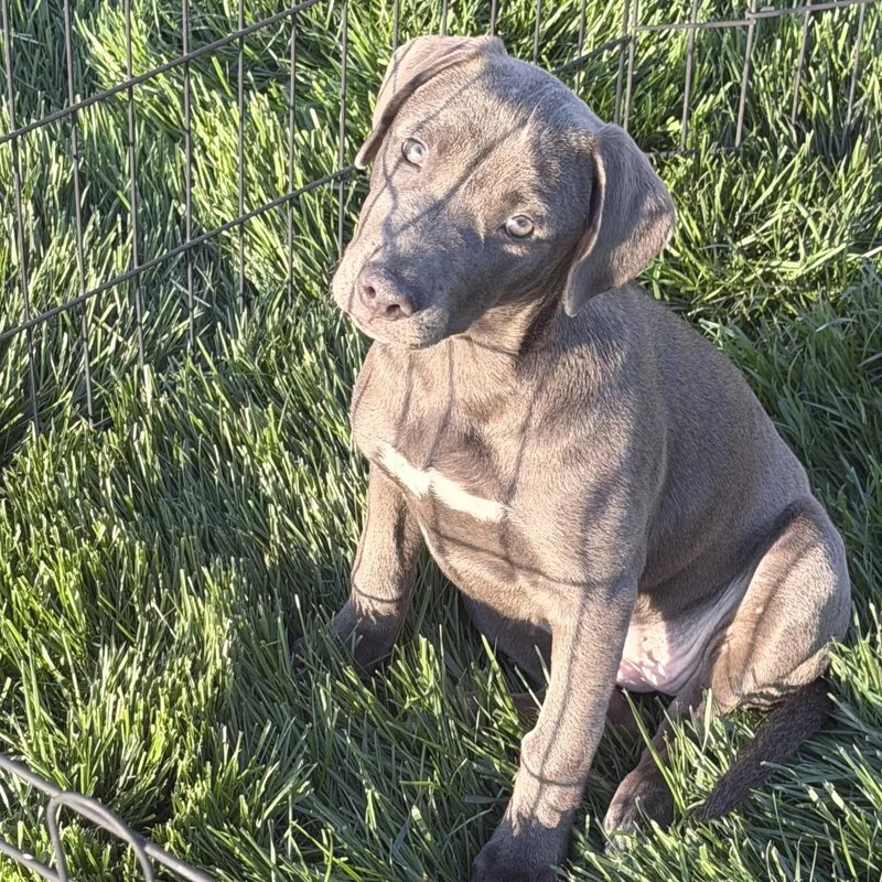 Madeline thumbnail 2