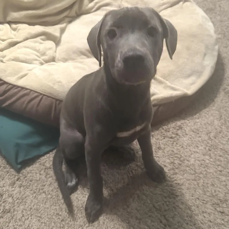 Madeline thumbnail 3