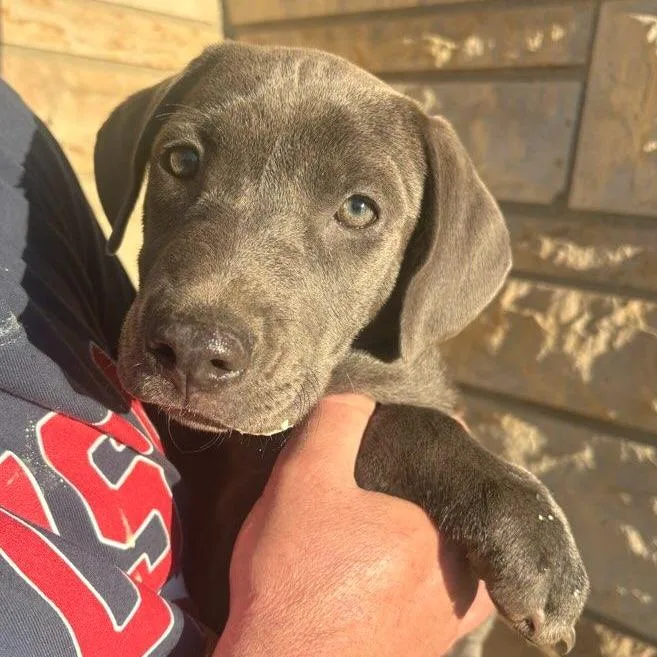 Madeline thumbnail 4