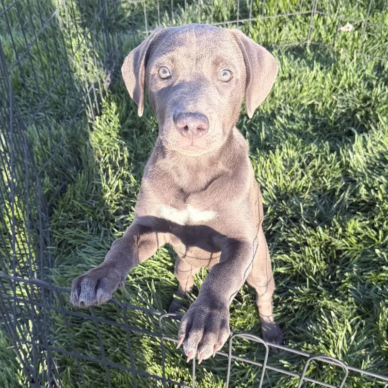 Madeline thumbnail 5