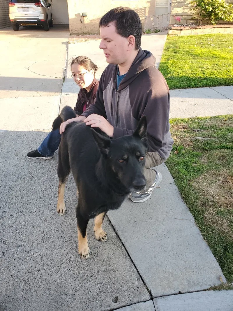 M'lady With Her Manicure!! thumbnail 2