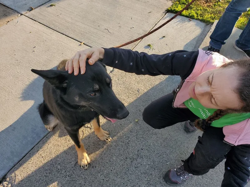 M'lady With Her Manicure!! thumbnail 5