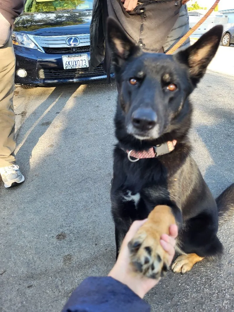 M'lady With Her Manicure!!