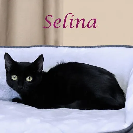 Selina C
