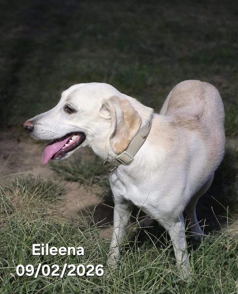 Eileena thumbnail 2