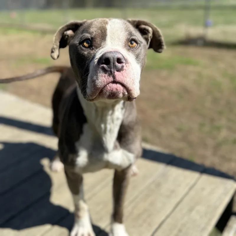 Fortnite thumbnail 2