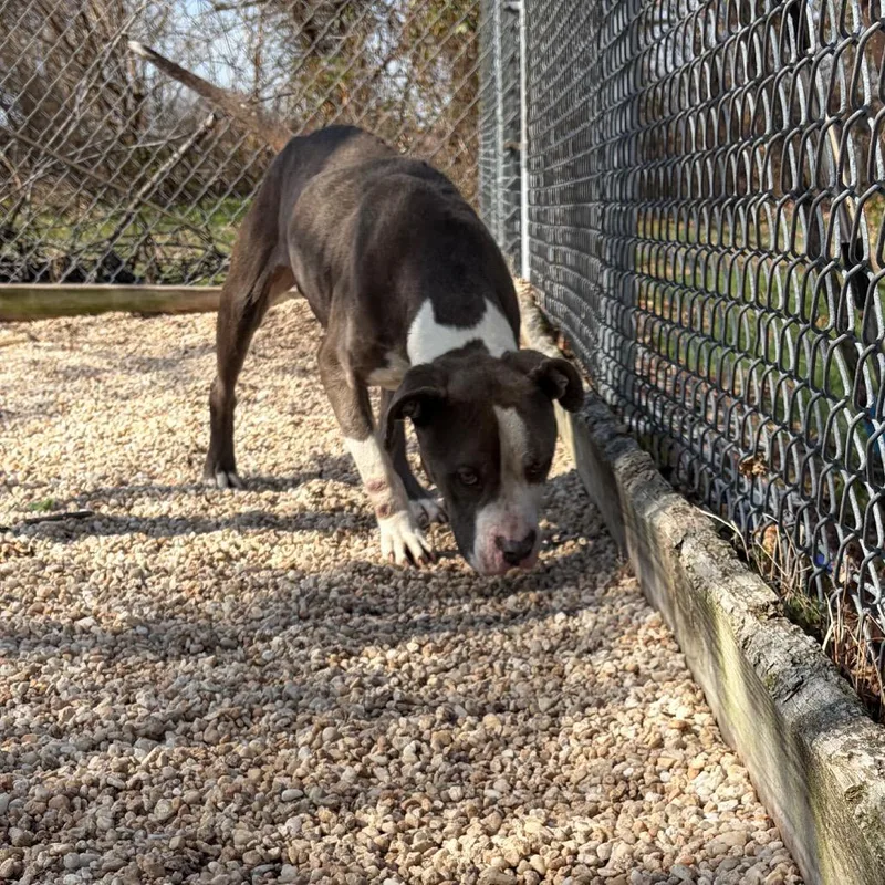 Fortnite thumbnail 3