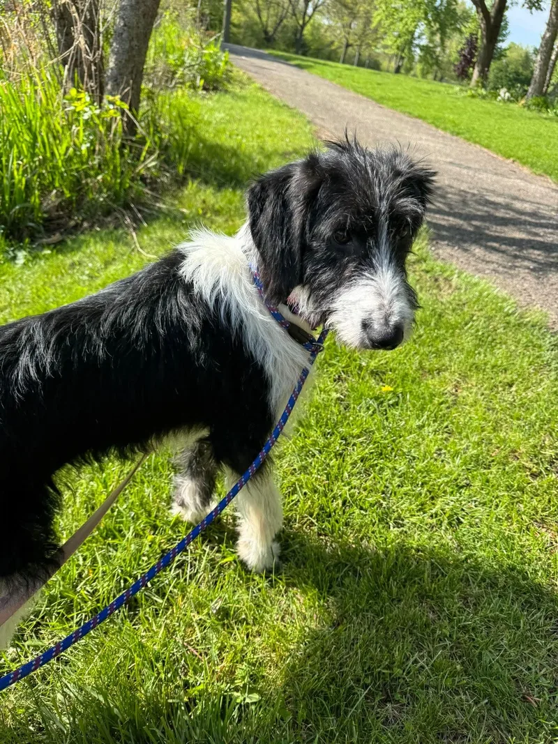 Tilly