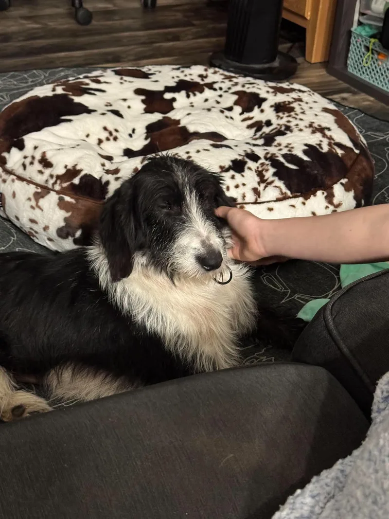 Tilly thumbnail 3