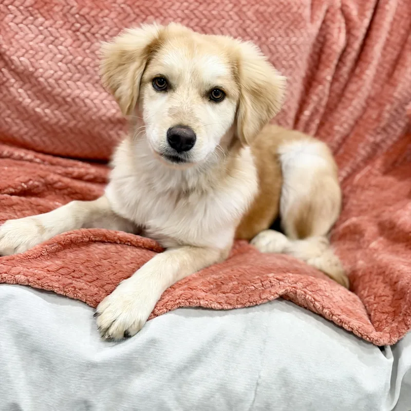 Darling Parker thumbnail 2