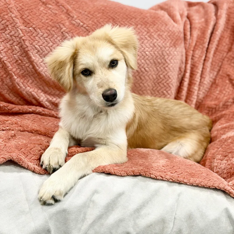 Darling Parker thumbnail 3