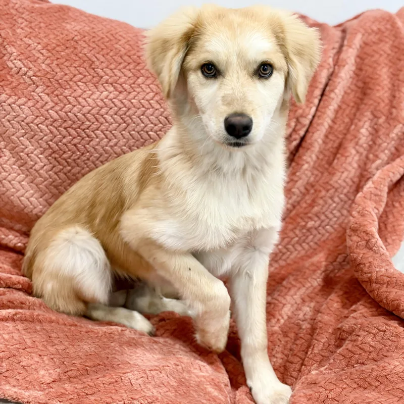 Darling Parker thumbnail 4