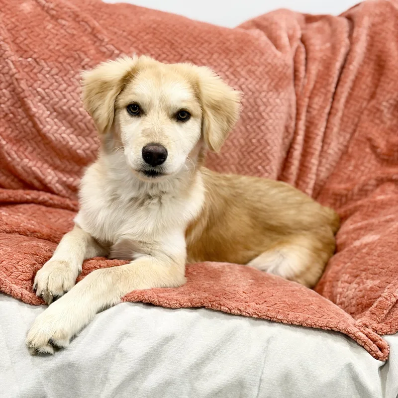 Darling Parker thumbnail 5