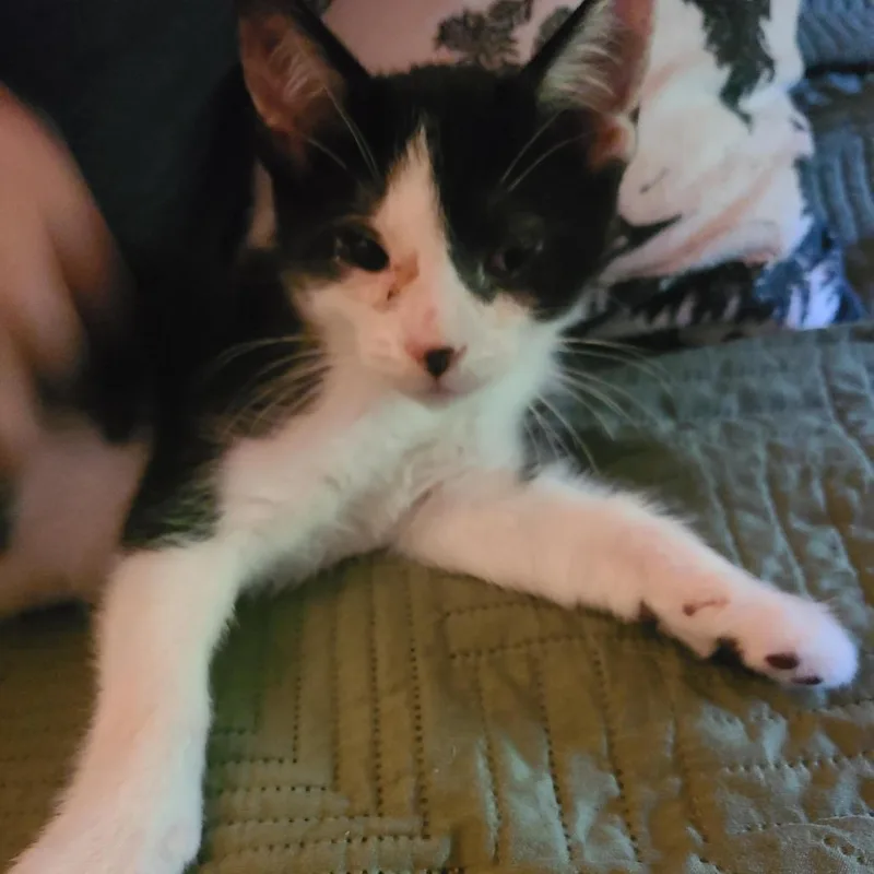 Zuko