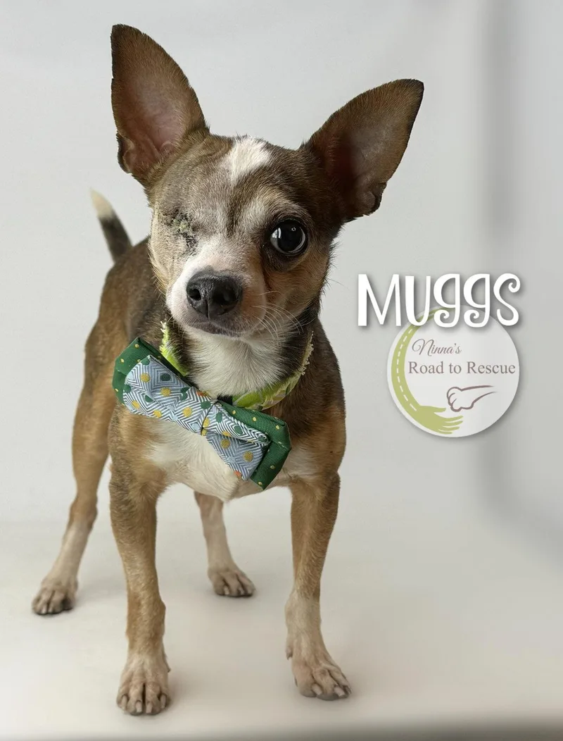 Muggs