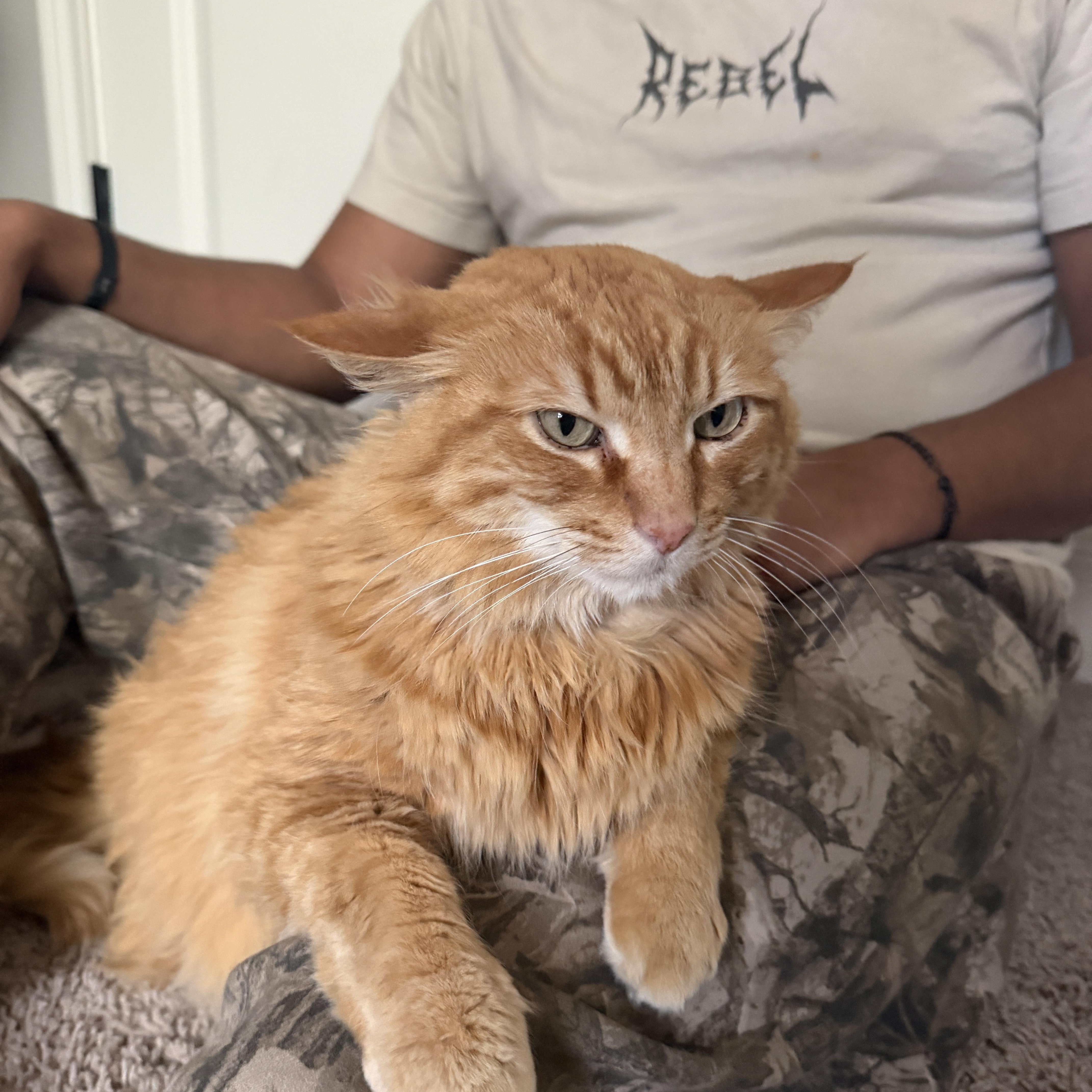 Cheetoh And Lola