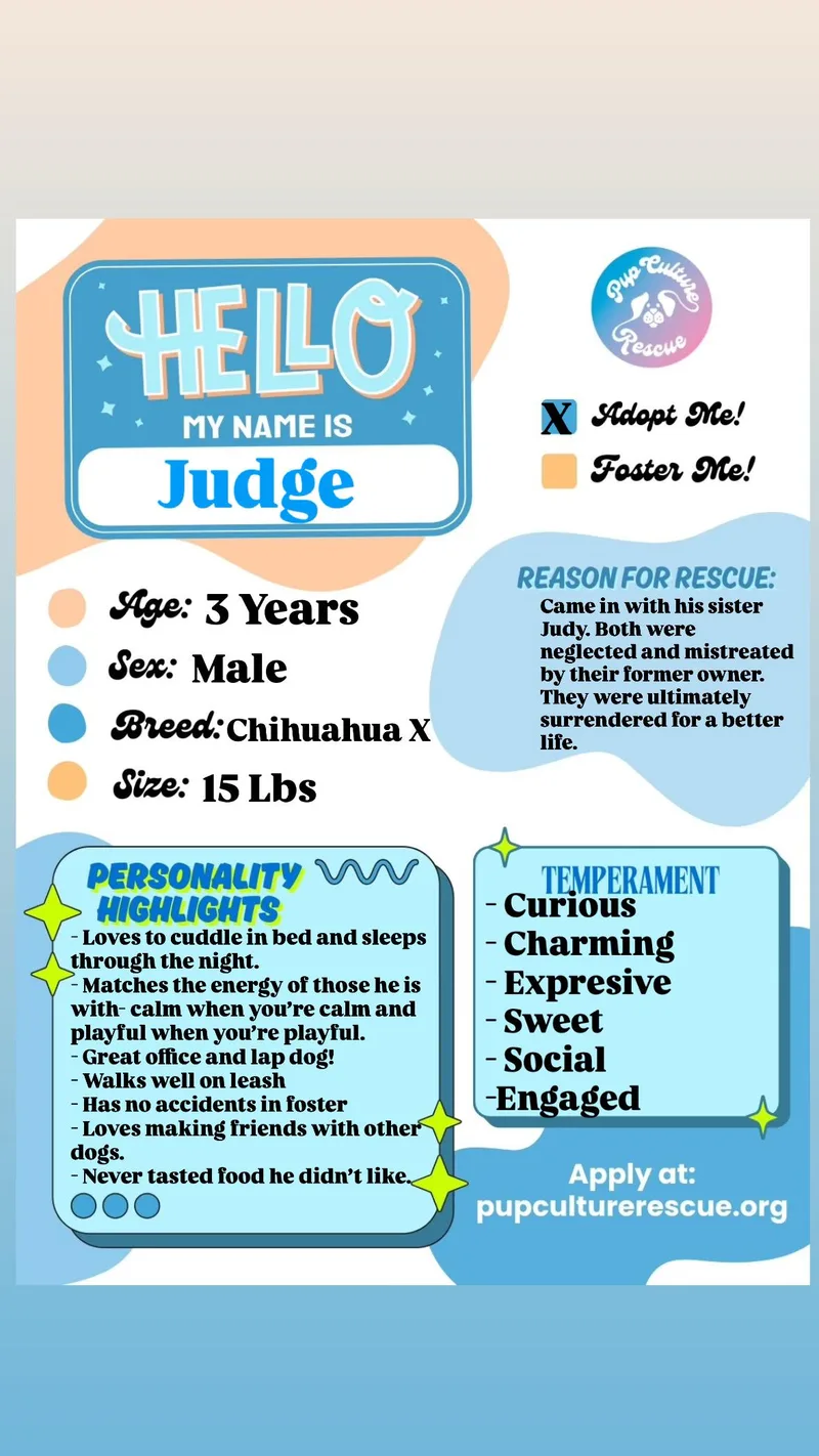 Judge thumbnail 6