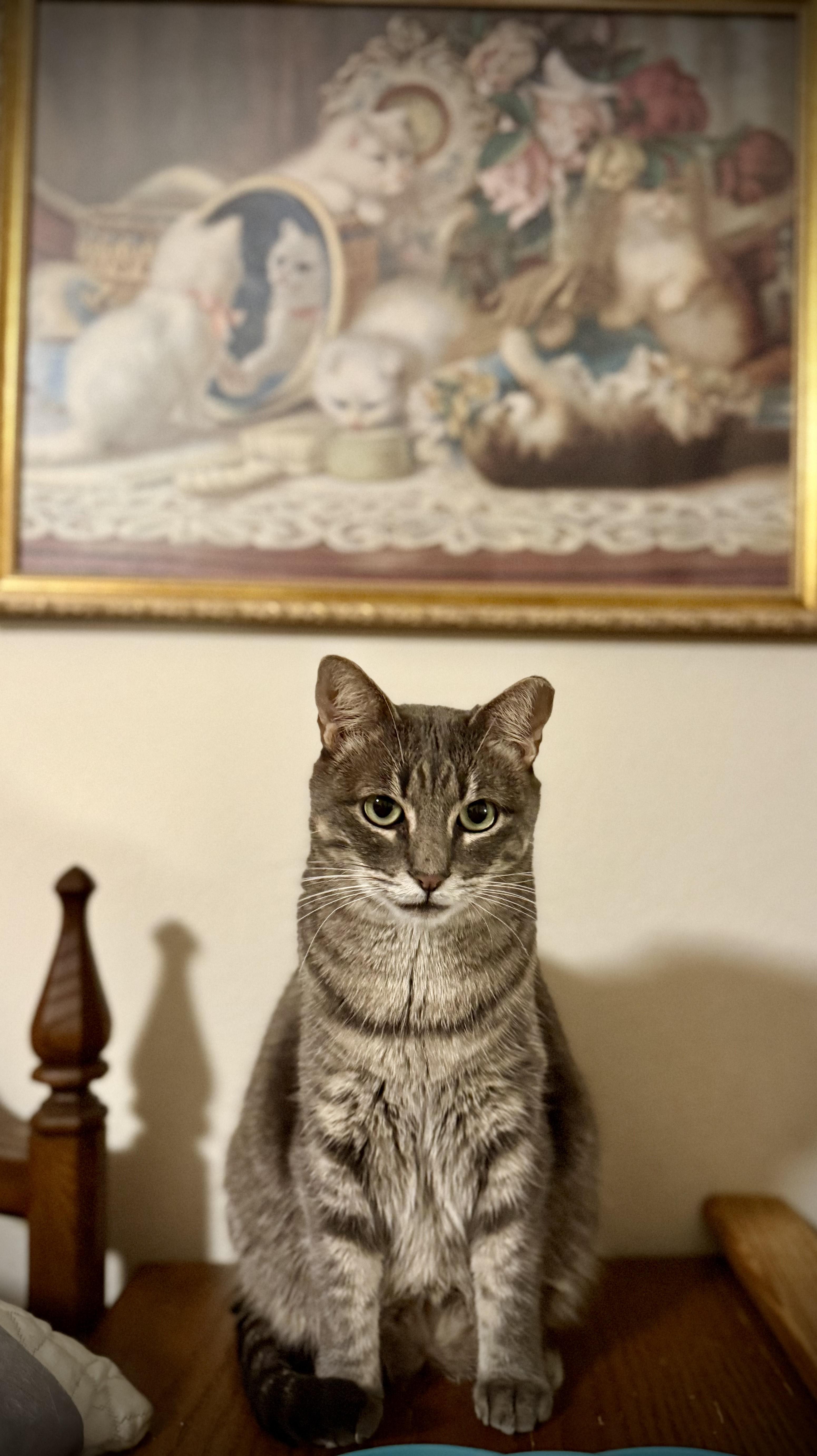 Lil'girl Clovermeadow thumbnail 4