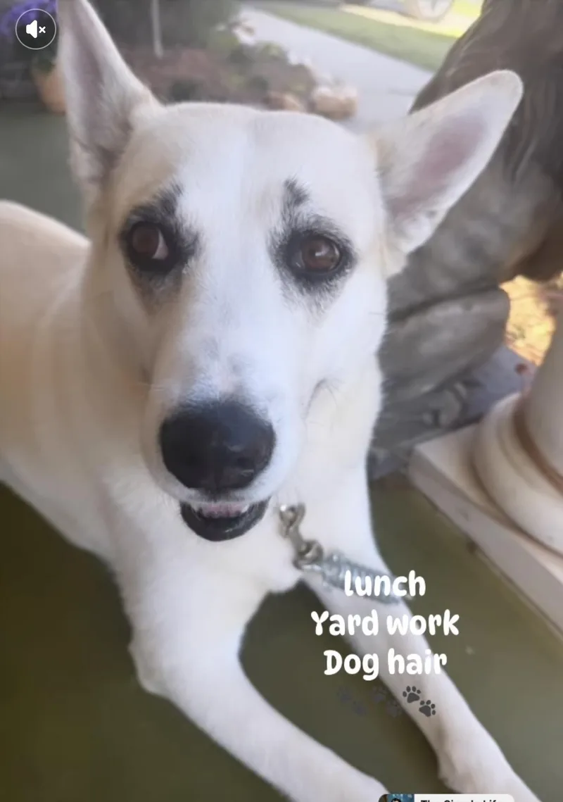 Maggie thumbnail 6