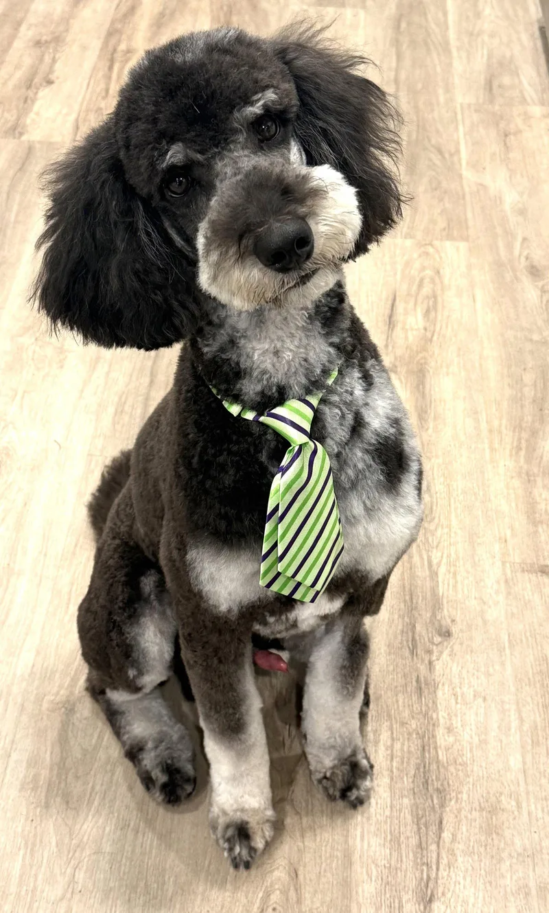 Retro thumbnail 2