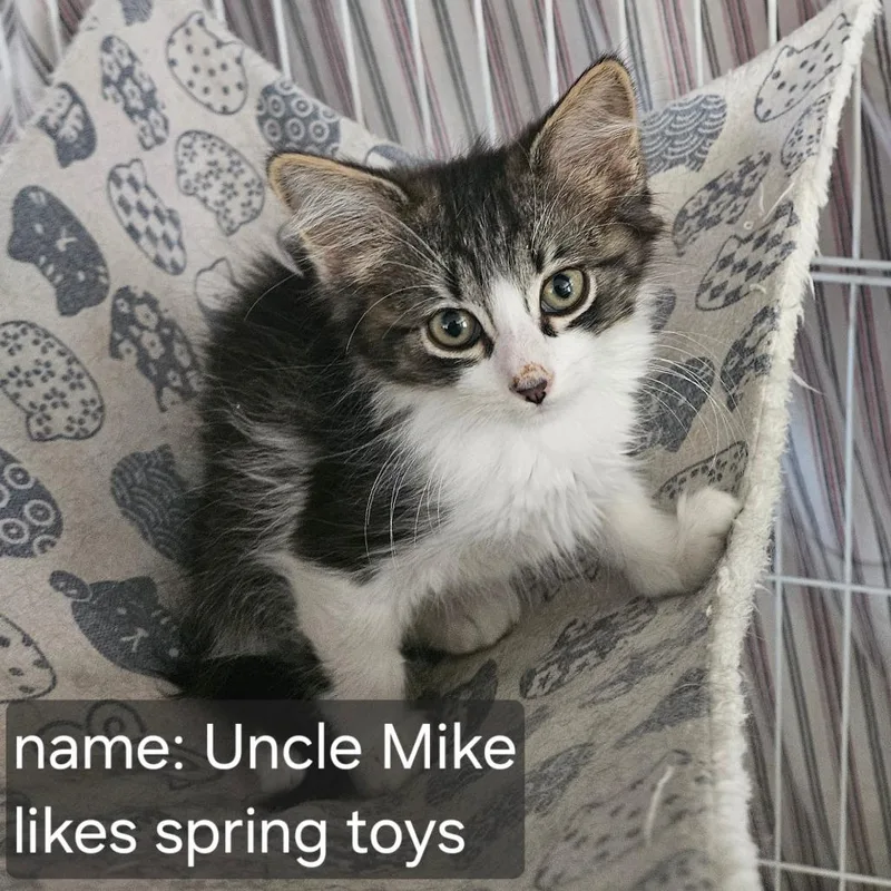 Uncle Mike thumbnail 2