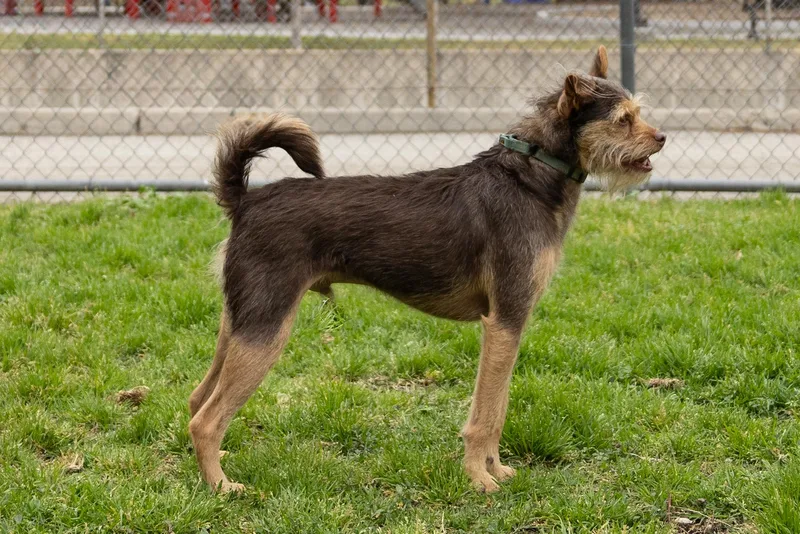 Minnie And Her Handsome thumbnail 5