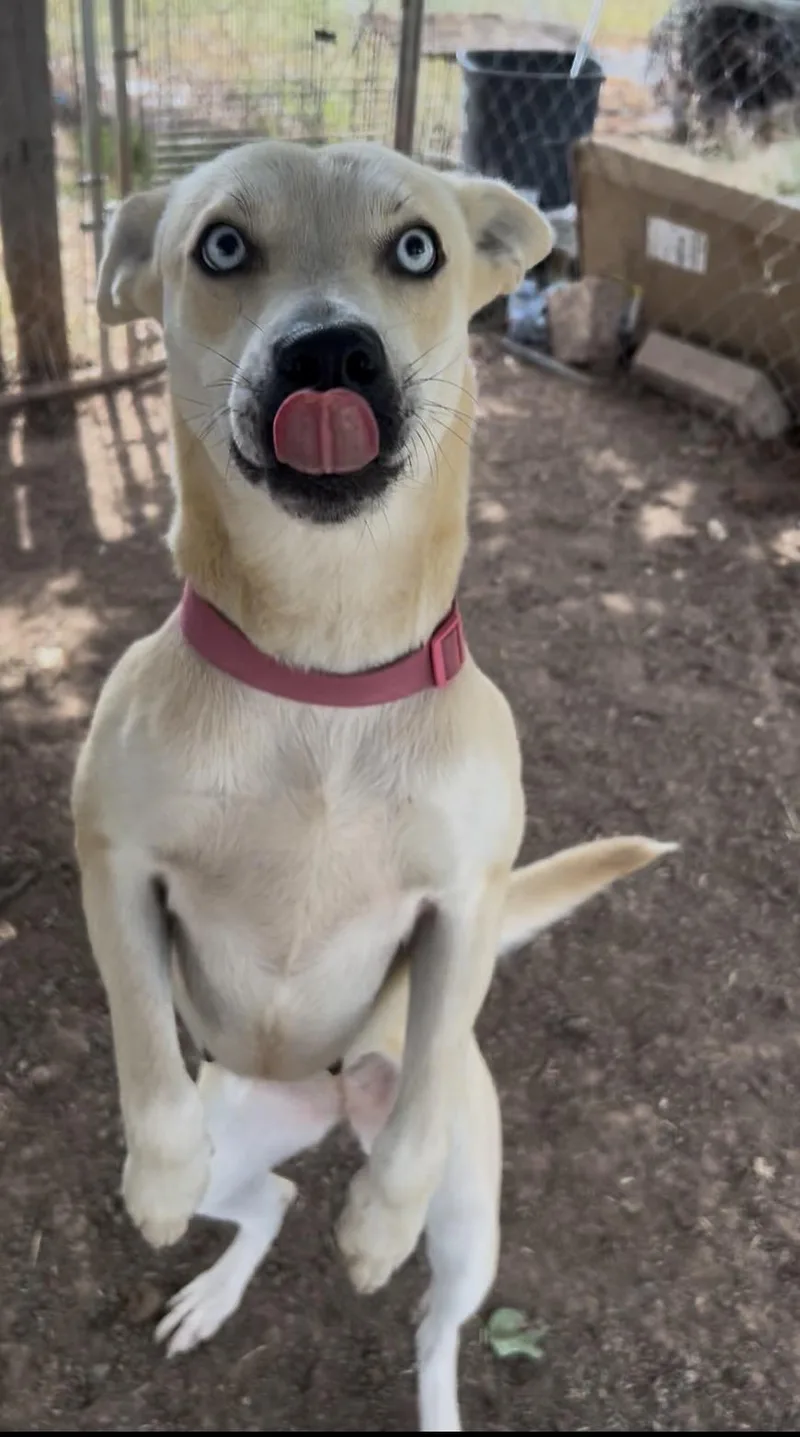 Karma thumbnail 3
