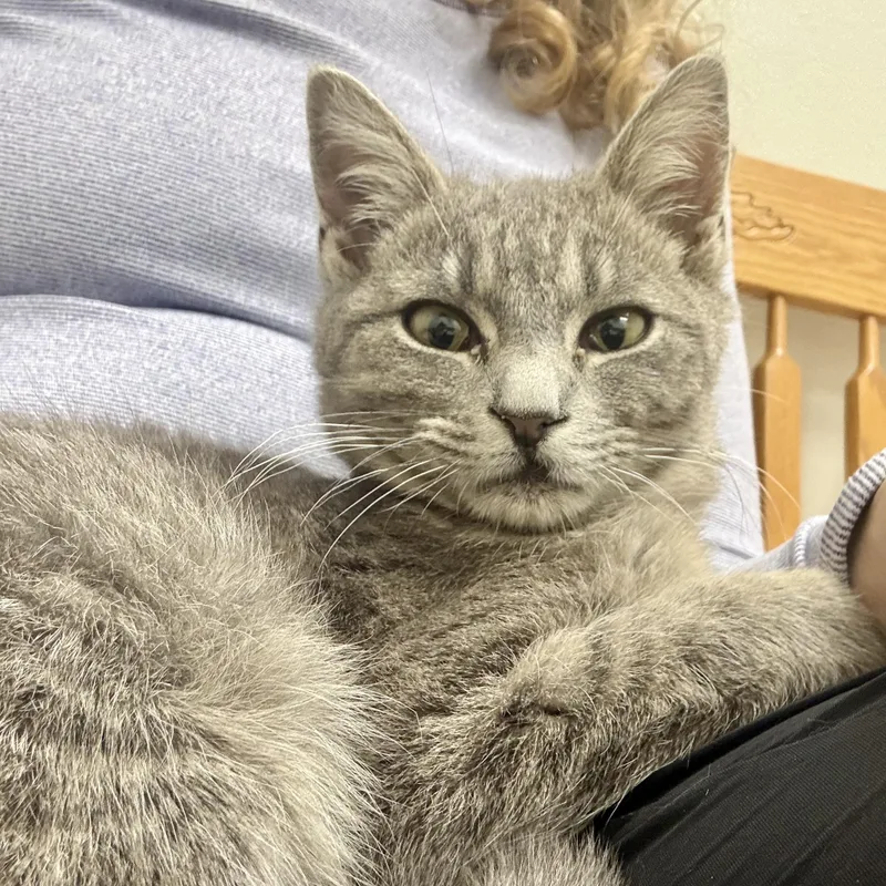 Little Smokey thumbnail 3