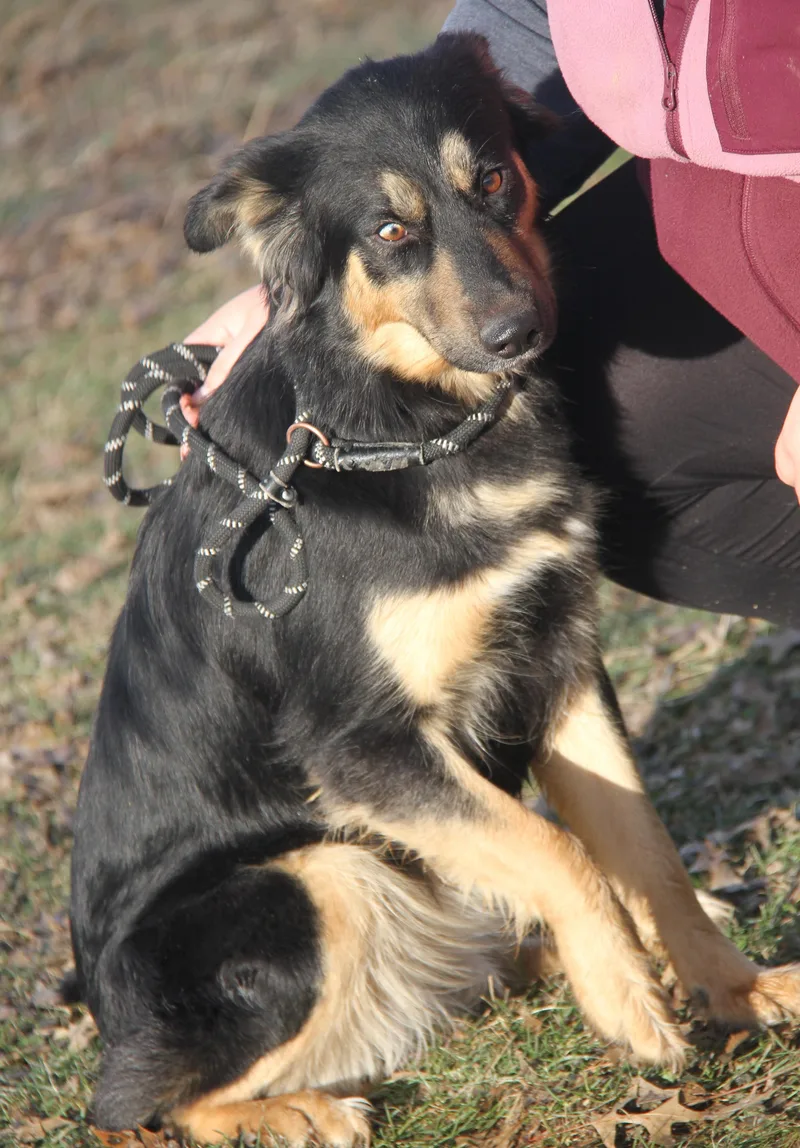 Tubby & Daisey thumbnail 2