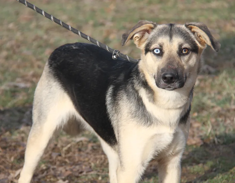 Tubby & Daisey thumbnail 3