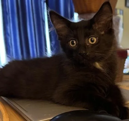 Sebastian