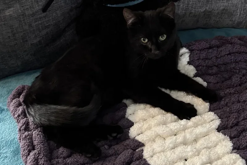 Captain Crunch Lowkey Young thumbnail 2