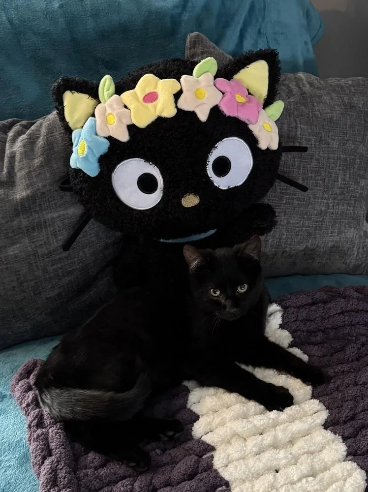 Captain Crunch Lowkey Young