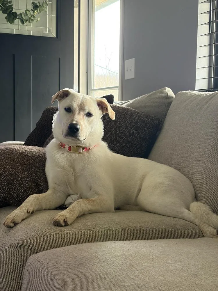 Marry Me : Taylor thumbnail 2