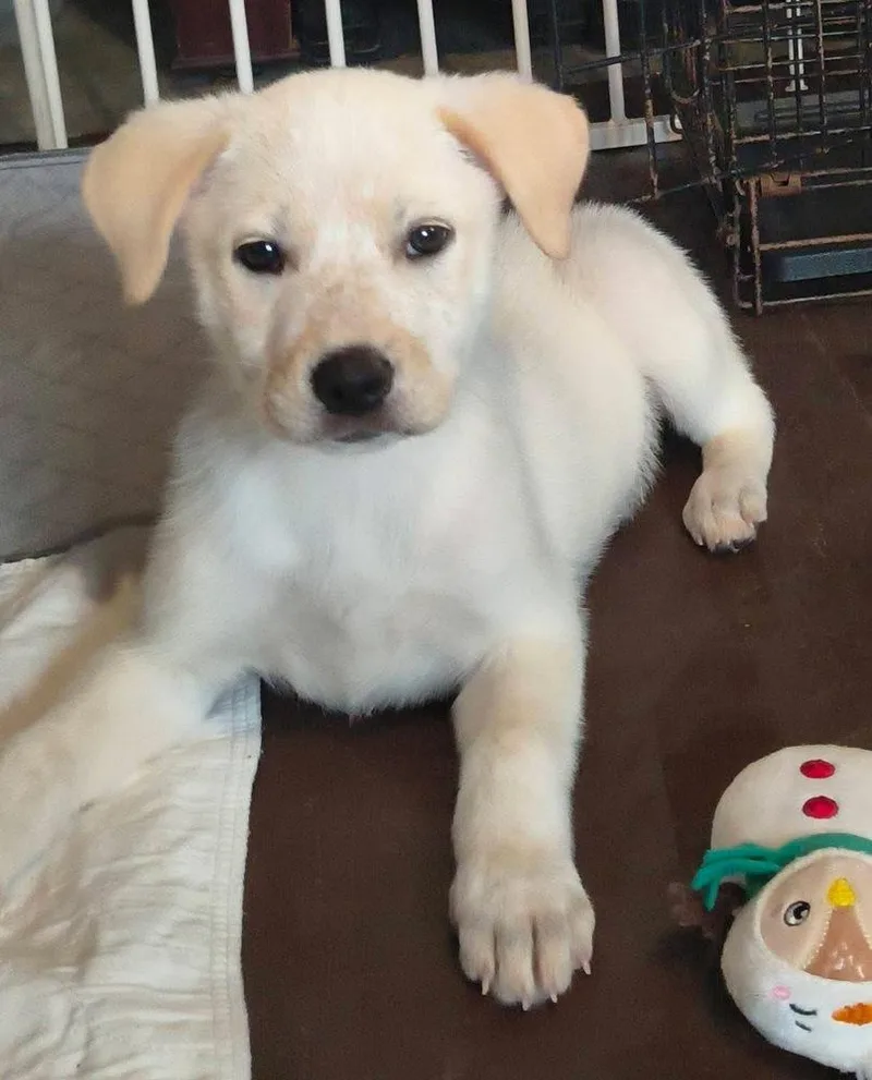 Marry Me : Taylor thumbnail 3