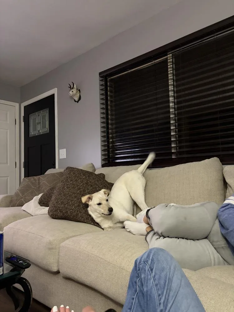 Marry Me : Taylor thumbnail 4