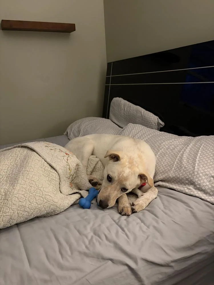 Marry Me : Taylor thumbnail 5